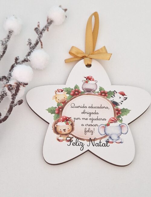 Estrela de Natal - Educadora