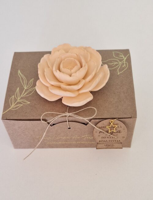 Camélia aberta grande alaranjada - Mineral Organic Crafts