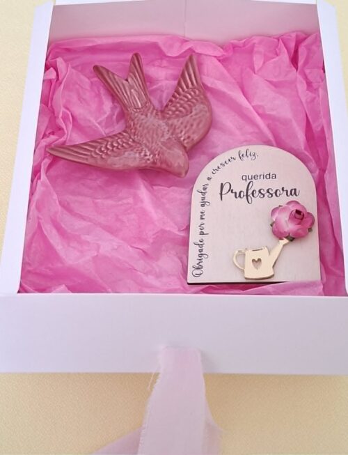 Box andorinha - Professora